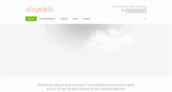 Desktop Screenshot of chrysalink.fr